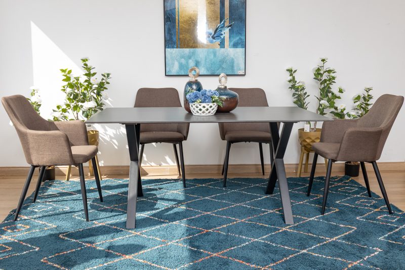 rina dining table + 6 rum chairs