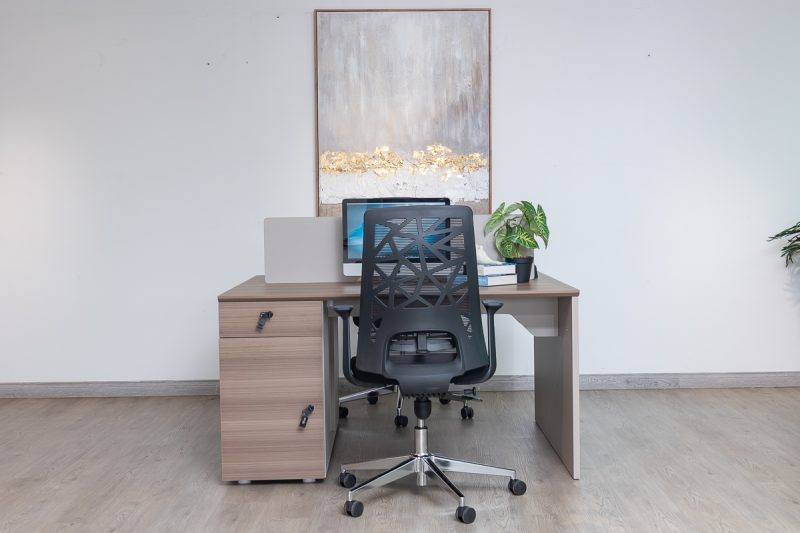 53flm251 - 2 way work station
