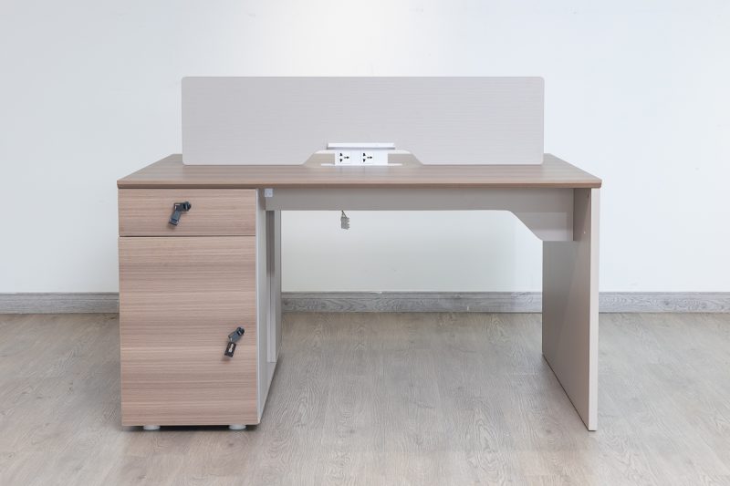 53flm251 - 2 way work station