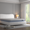 Huxberry Artic Gel Mattress 12